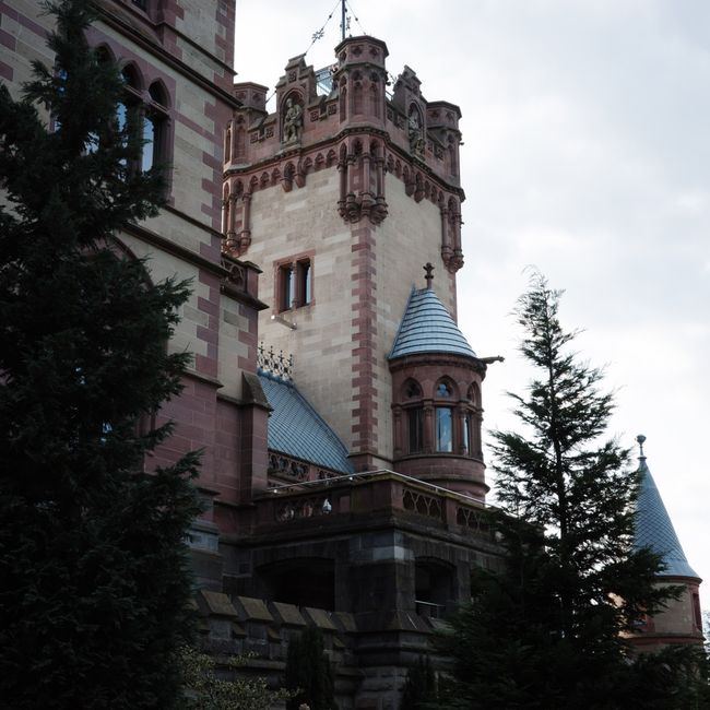 Hradní věž nad korunami stromů, Bouzov