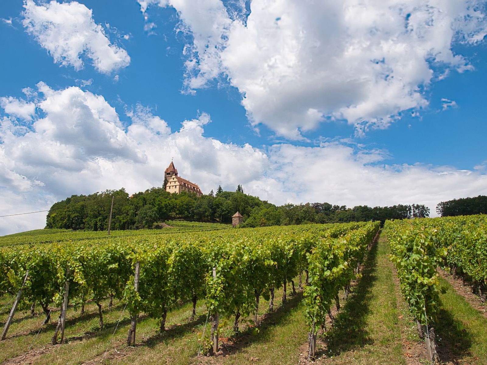 Gotický hrad nad vinicemi, Karlštejn a Budňanská skála