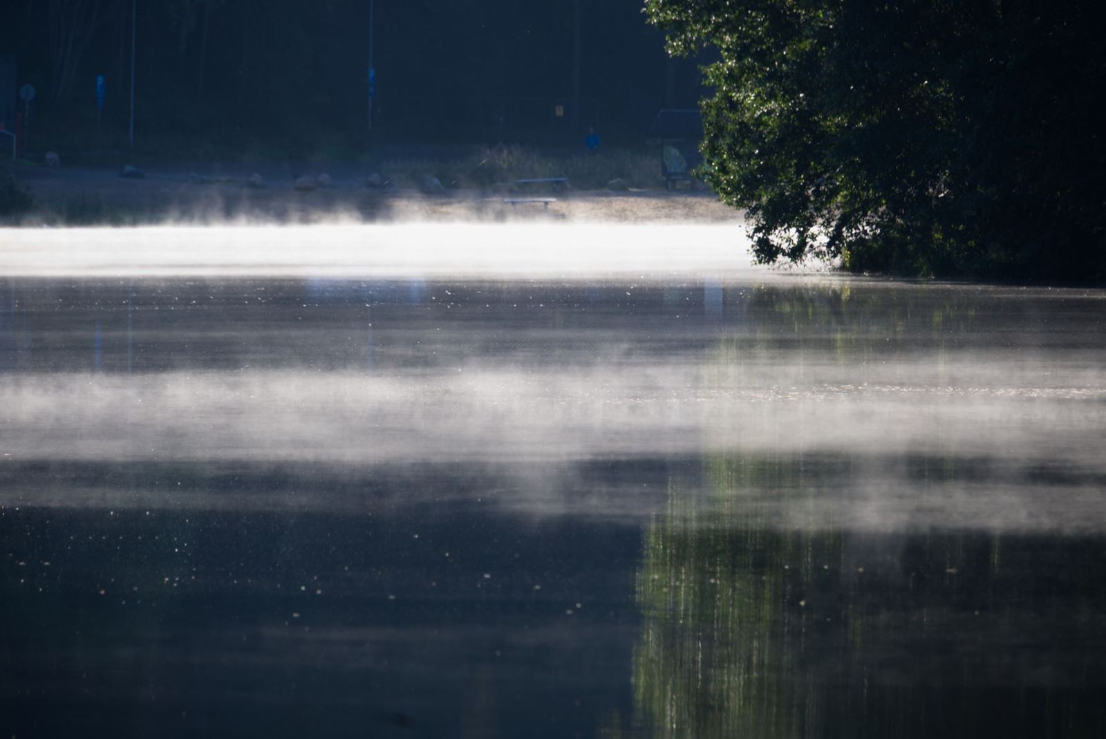 Jezero v ranní mlze